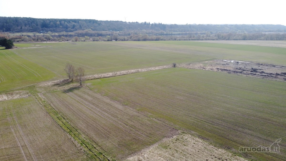 Išskirtinis 5,4636 ha. ploto sklypas prie - nuotraukos Nr. 16