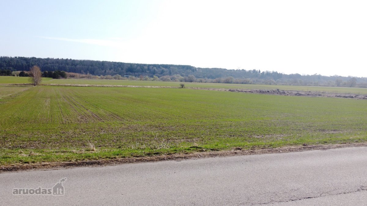 Išskirtinis 5,4636 ha. ploto sklypas prie - nuotraukos Nr. 21