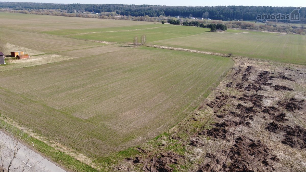 Išskirtinis 5,4636 ha. ploto sklypas prie - nuotraukos Nr. 12