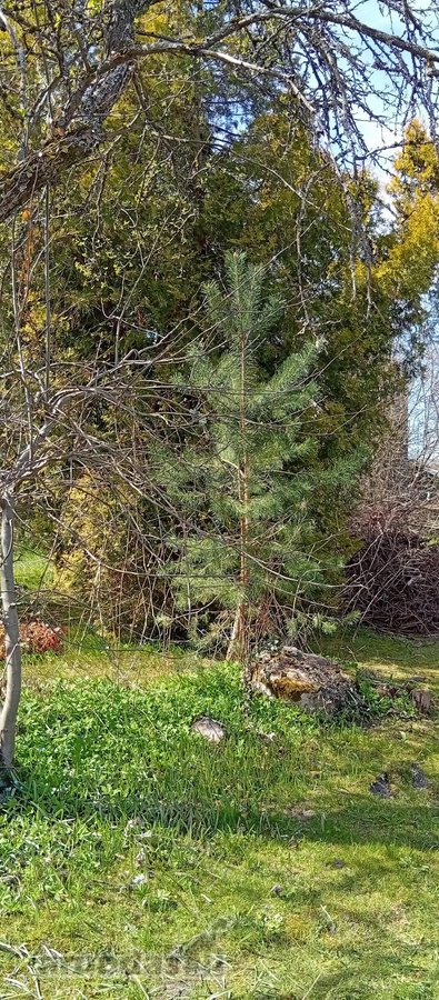 Ieškote ramios vietos savo svajonių namams ar - nuotraukos Nr. 10
