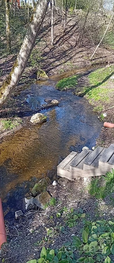 Ieškote ramios vietos savo svajonių namams ar - nuotraukos Nr. 12