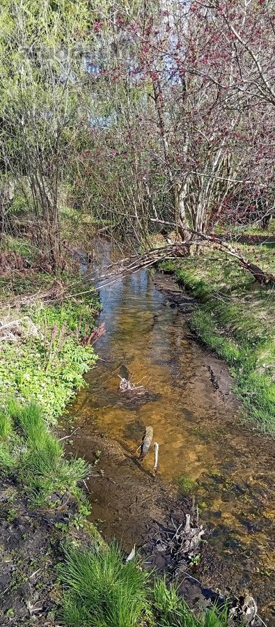 Ieškote ramios vietos savo svajonių namams ar - nuotraukos Nr. 13