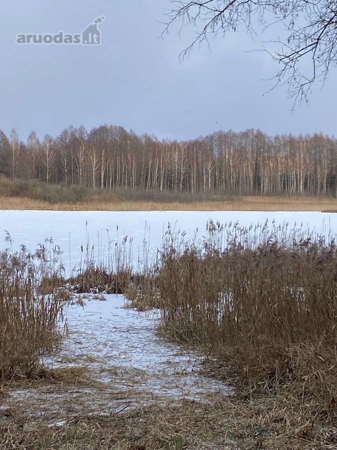 Namų valdos, vienkiemio tipo sklypas šalia - nuotraukos Nr. 7
