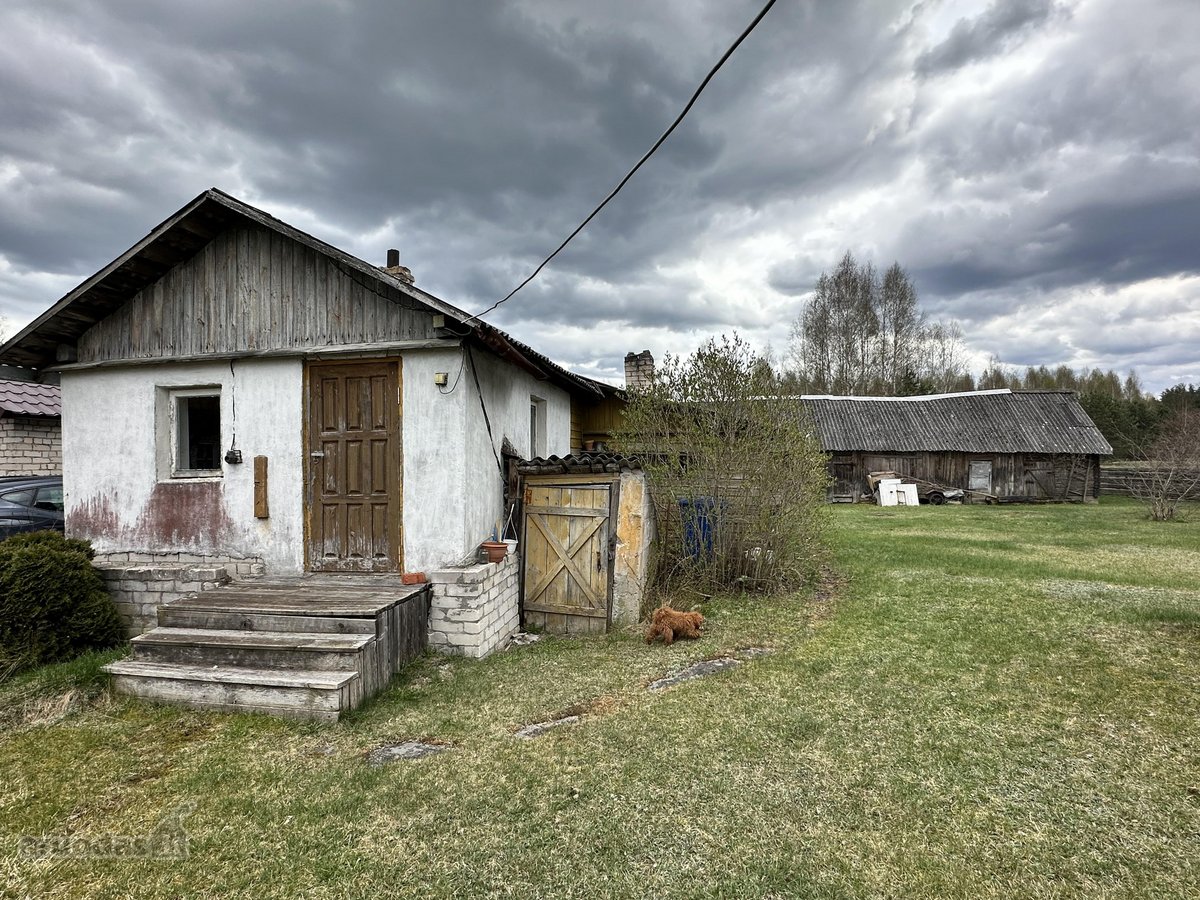 Parduodama sodyba Marcinkonyse, Dzūkijos - nuotraukos Nr. 4