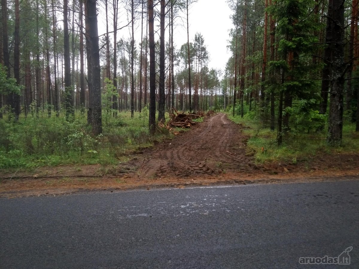 Parduodamas 1,68 ha sklypas. Teritorijoje yra