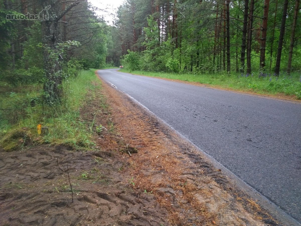 Parduodamas 1,68 ha sklypas. Teritorijoje yra - nuotraukos Nr. 2