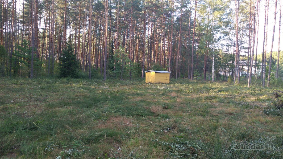 Parduodamas 1,68 ha sklypas. Teritorijoje yra - nuotraukos Nr. 7