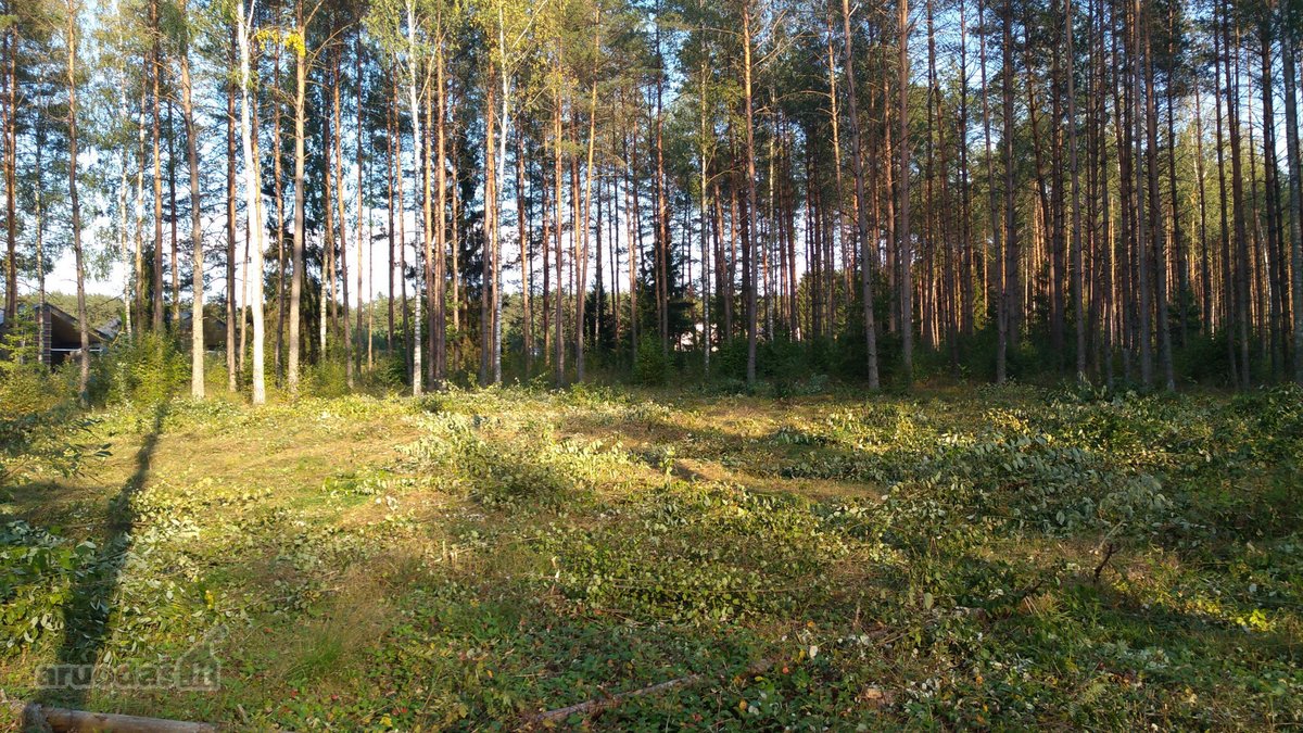Parduodamas 1,68 ha sklypas. Teritorijoje yra - nuotraukos Nr. 8