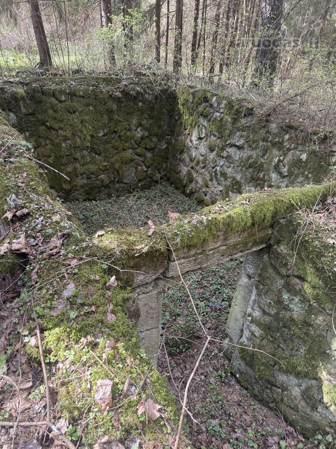 Anyksciu rajone, Simoniu girioje ypatingai - nuotraukos Nr. 2