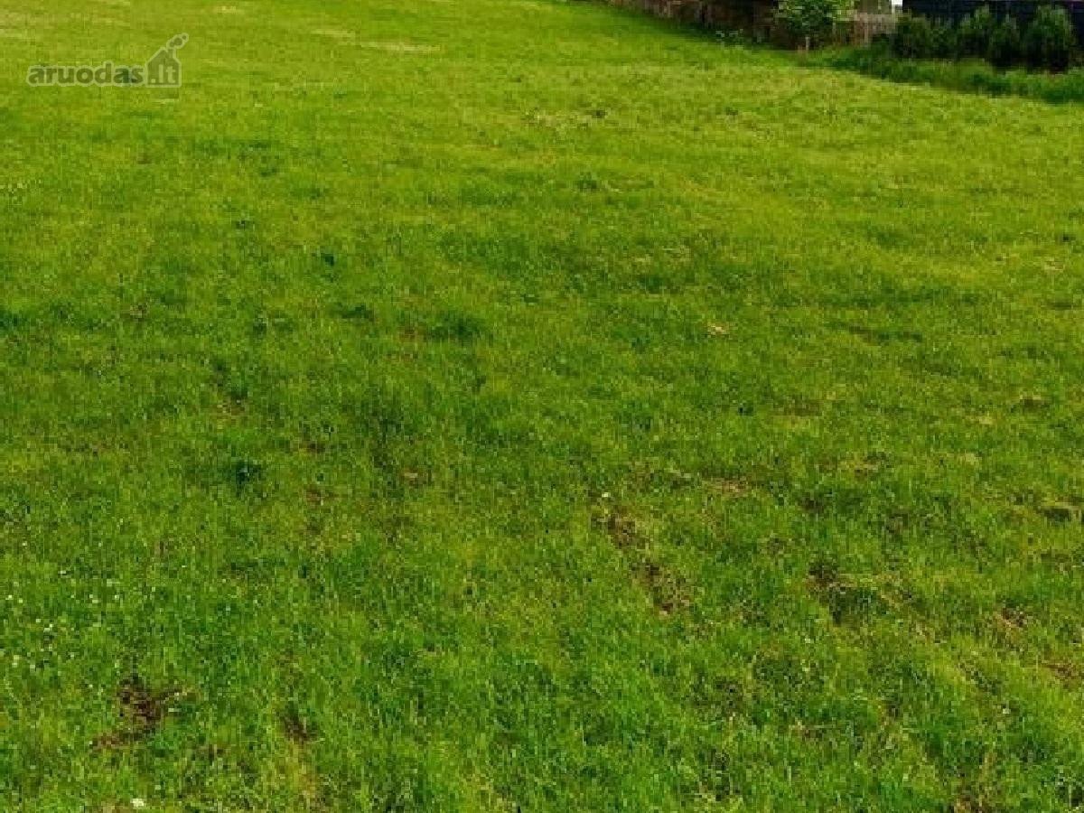Parduodamas Sklypas Balsių Gyvenvietės Centre! - nuotraukos Nr. 4
