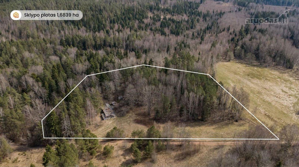 Ieškote ramybės, privatumo ir vietos, kur - nuotraukos Nr. 3