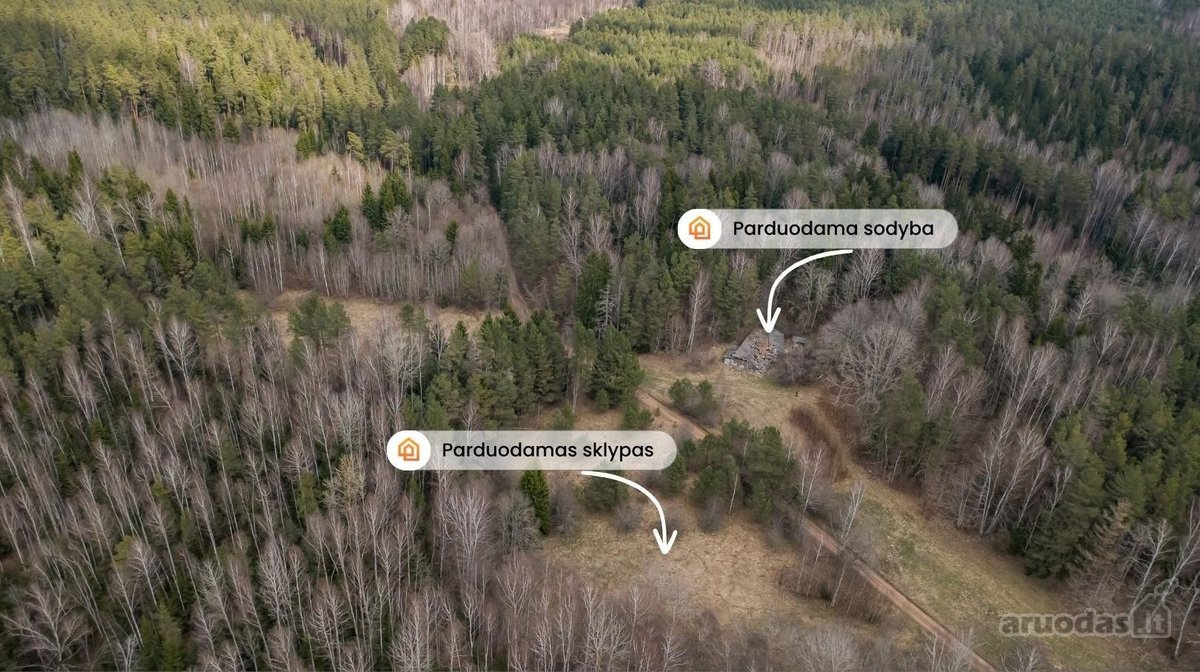Ieškote ramybės, privatumo ir vietos, kur - nuotraukos Nr. 5
