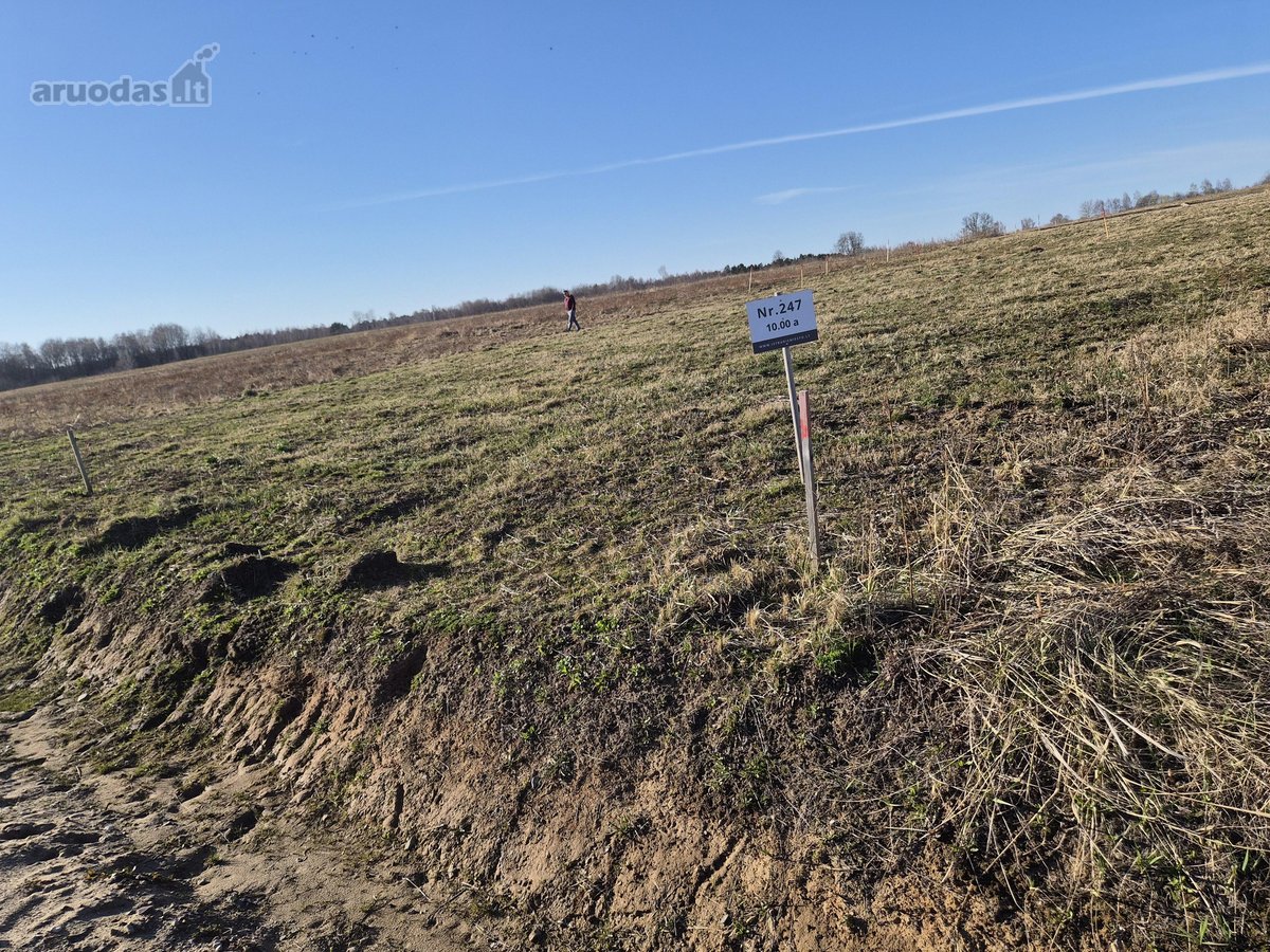 Parduodamas 10 arų sklypas ramiam gyvenimui – - nuotraukos Nr. 3