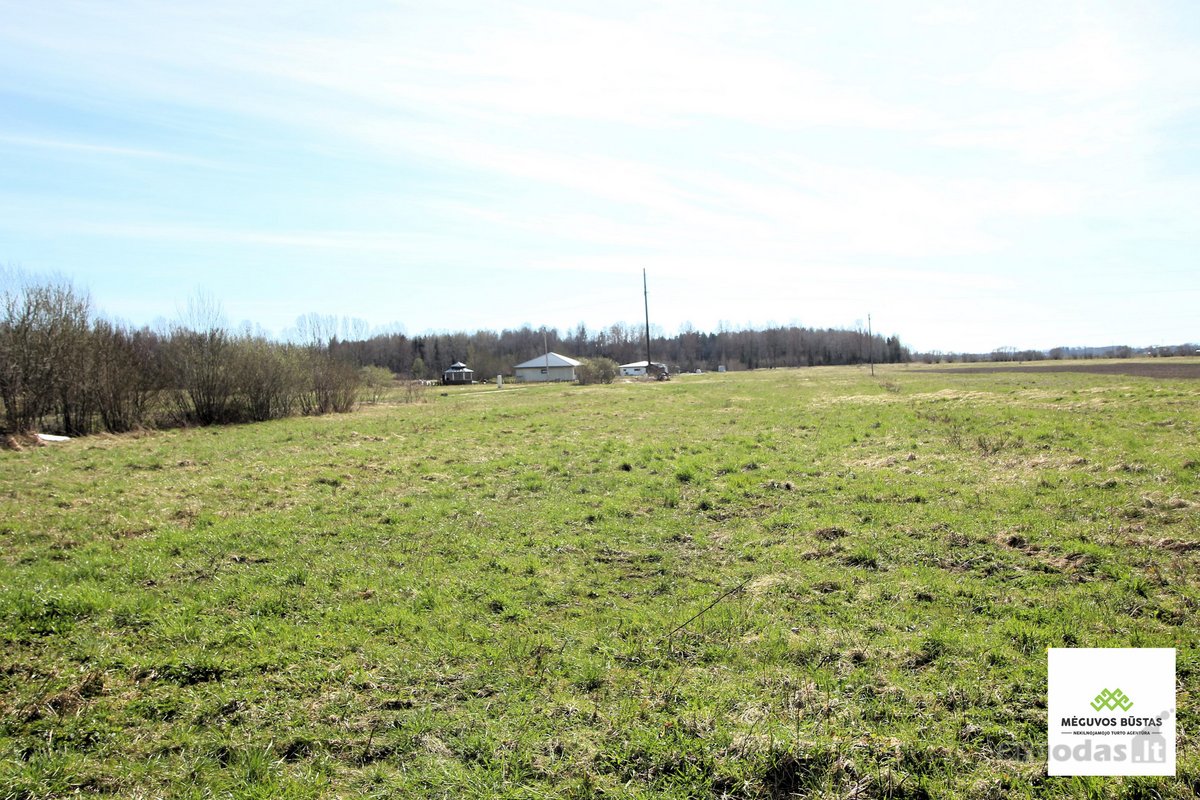 Rytų Aklg. Parduodamas 2,5 ha Sklypas! - nuotraukos Nr. 3
