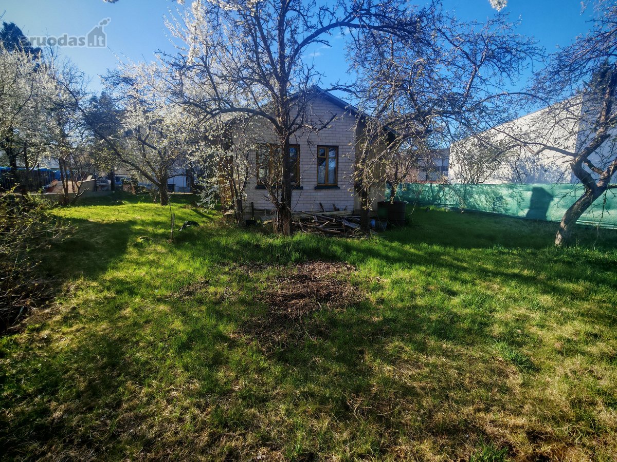 Vilniaus m. sav., Vilniaus m., Balsiai - nuotraukos Nr. 5