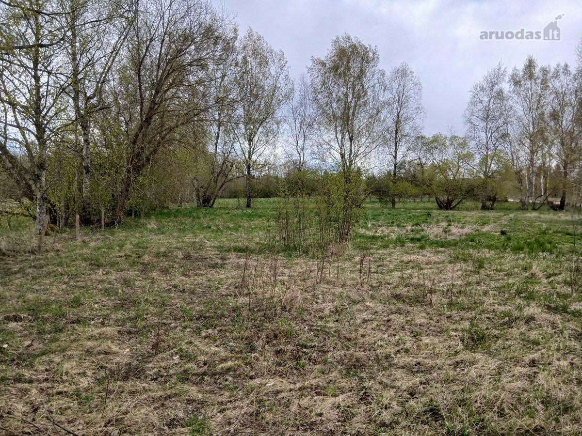 Parduodamas žemės ūkio paskirties 0,40 ha - nuotraukos Nr. 2