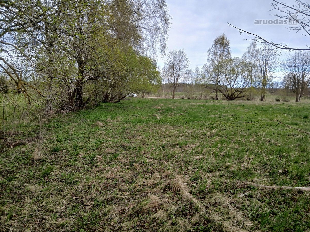 Parduodamas žemės ūkio paskirties 0,40 ha - nuotraukos Nr. 3