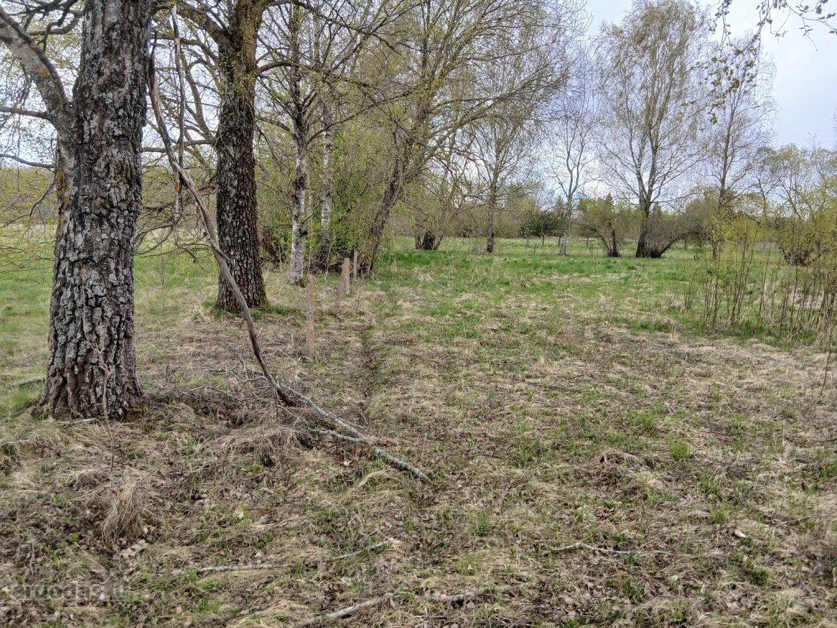 Parduodamas žemės ūkio paskirties 0,40 ha - nuotraukos Nr. 4