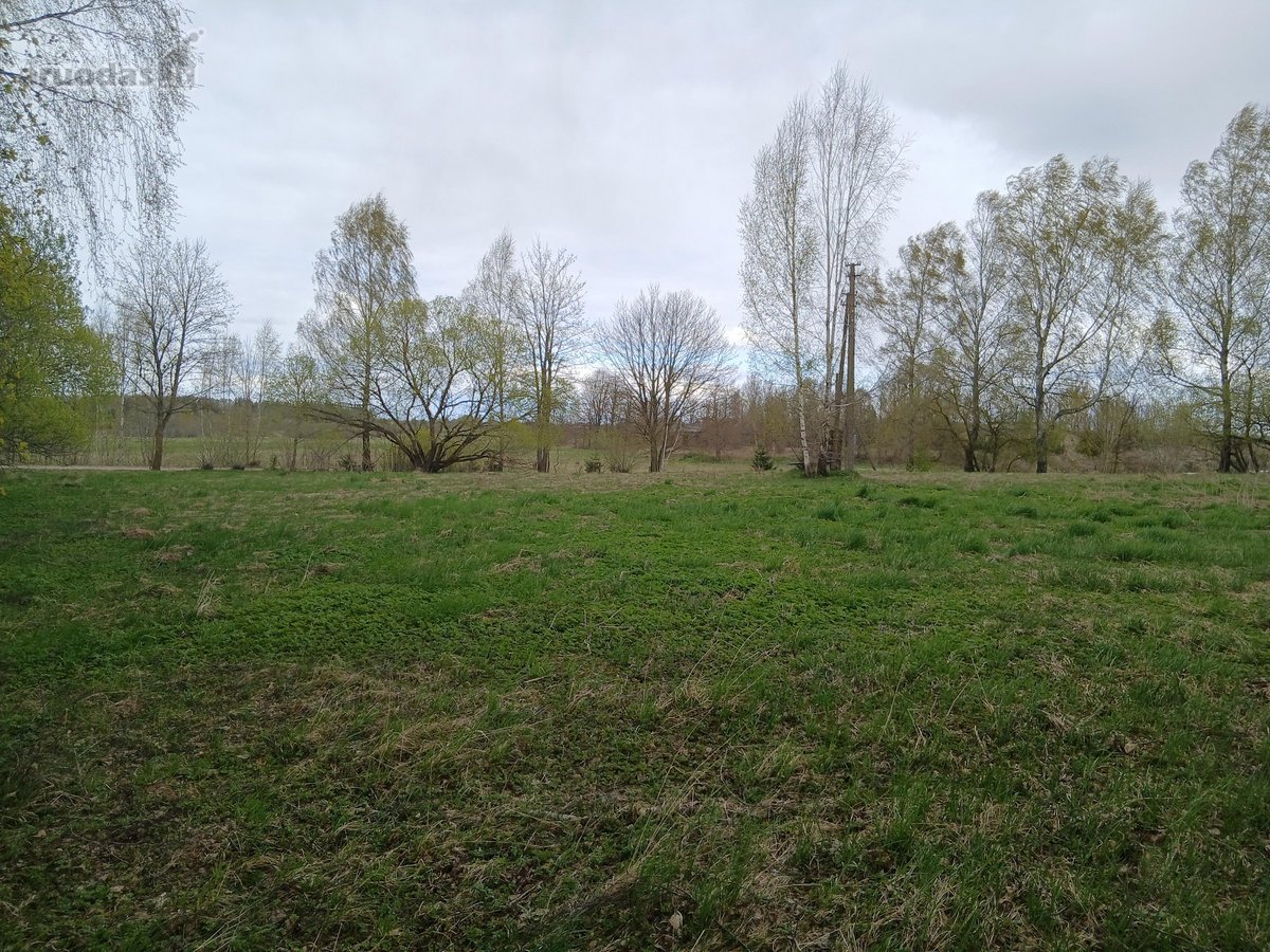 Parduodamas žemės ūkio paskirties 0,40 ha - nuotraukos Nr. 5