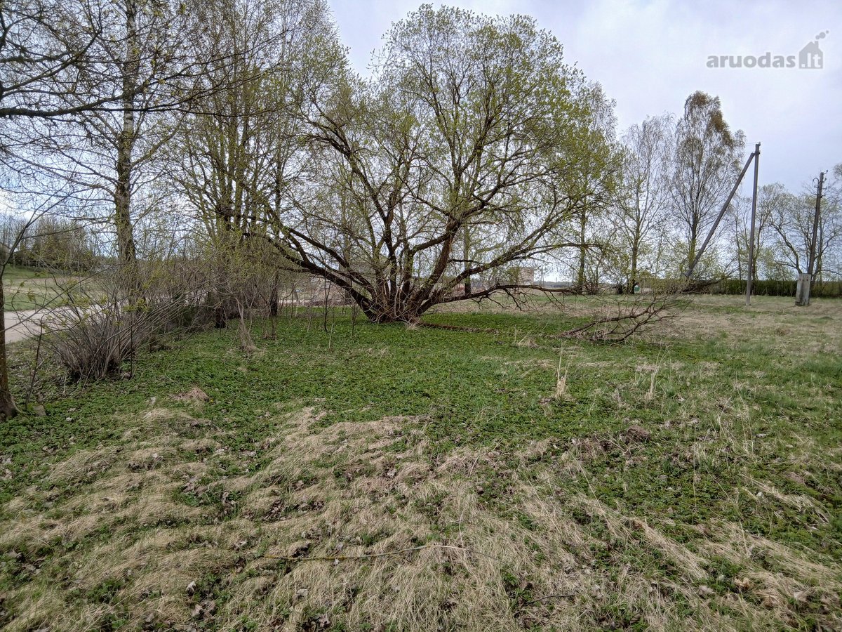 Parduodamas žemės ūkio paskirties 0,40 ha - nuotraukos Nr. 6