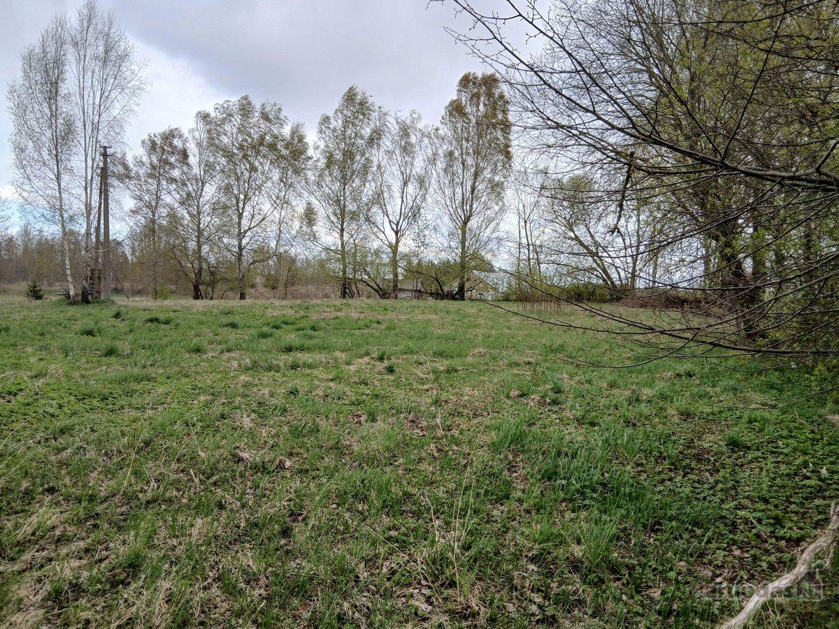 Parduodamas žemės ūkio paskirties 0,40 ha - nuotraukos Nr. 7