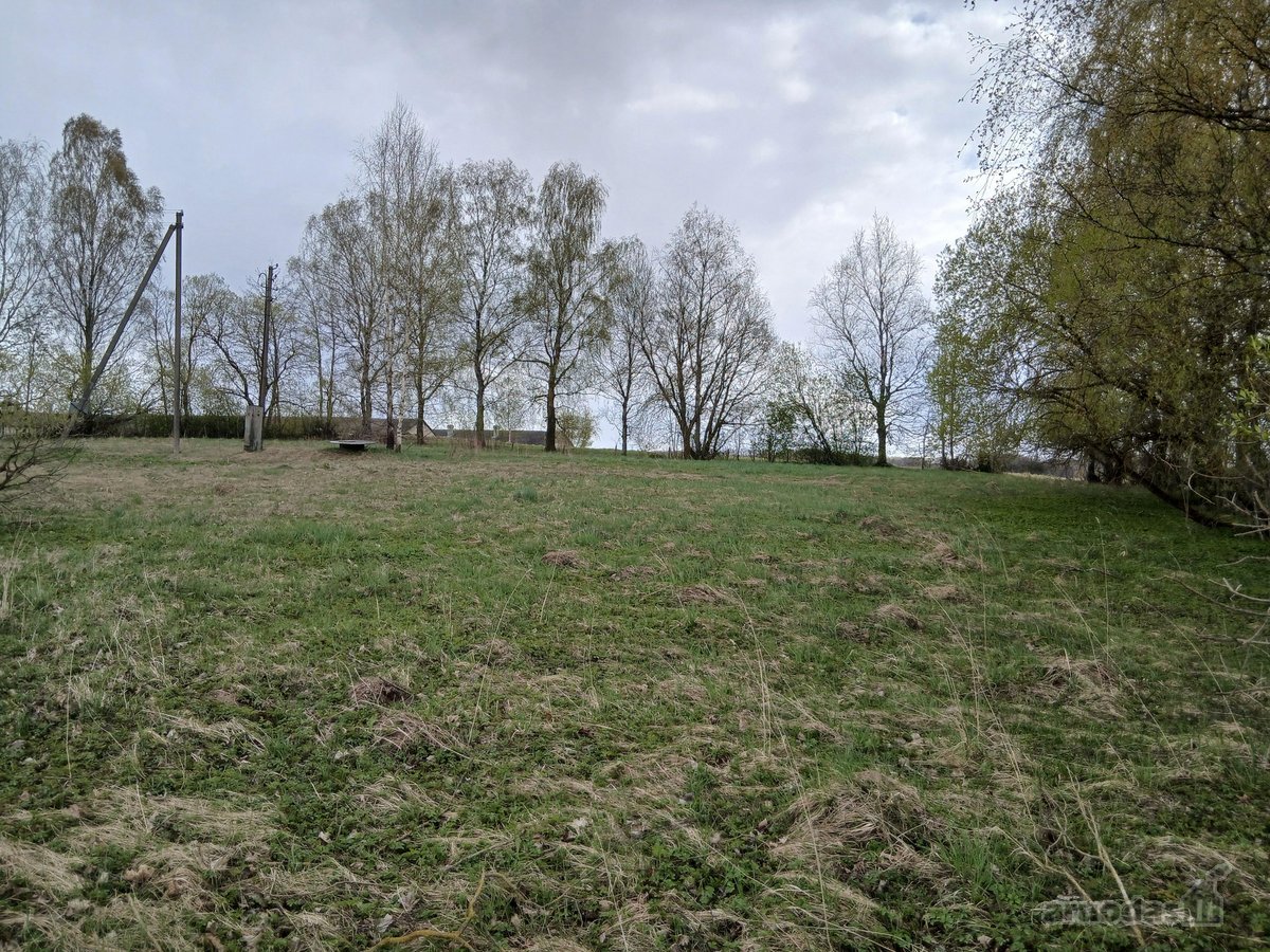 Parduodamas žemės ūkio paskirties 0,40 ha - nuotraukos Nr. 9