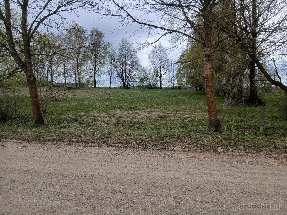 Parduodamas žemės ūkio paskirties 0,40 ha - nuotraukos Nr. 11