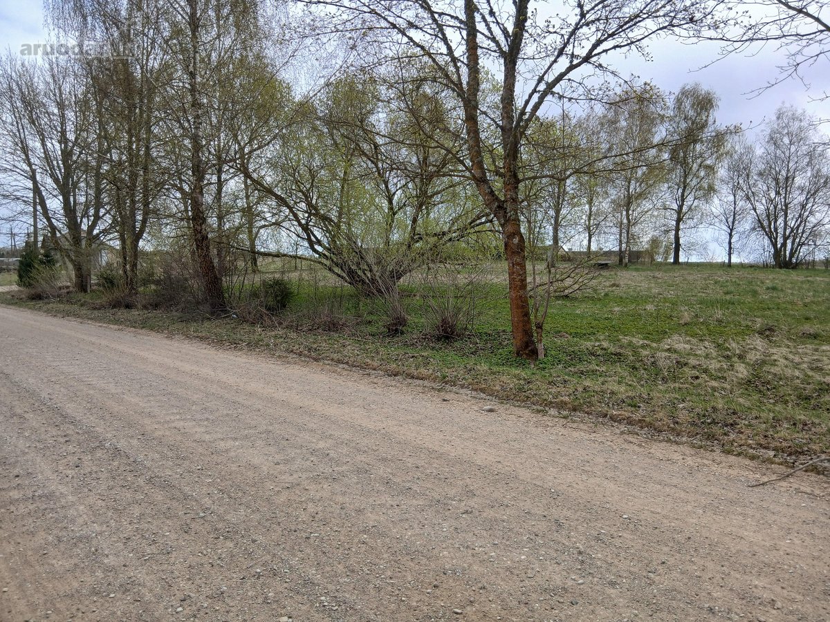 Parduodamas žemės ūkio paskirties 0,40 ha - nuotraukos Nr. 13