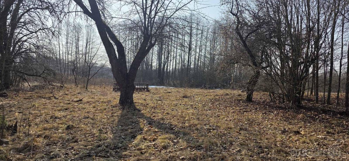 Alytaus r. sav., Vaisodžių k. - nuotraukos Nr. 4