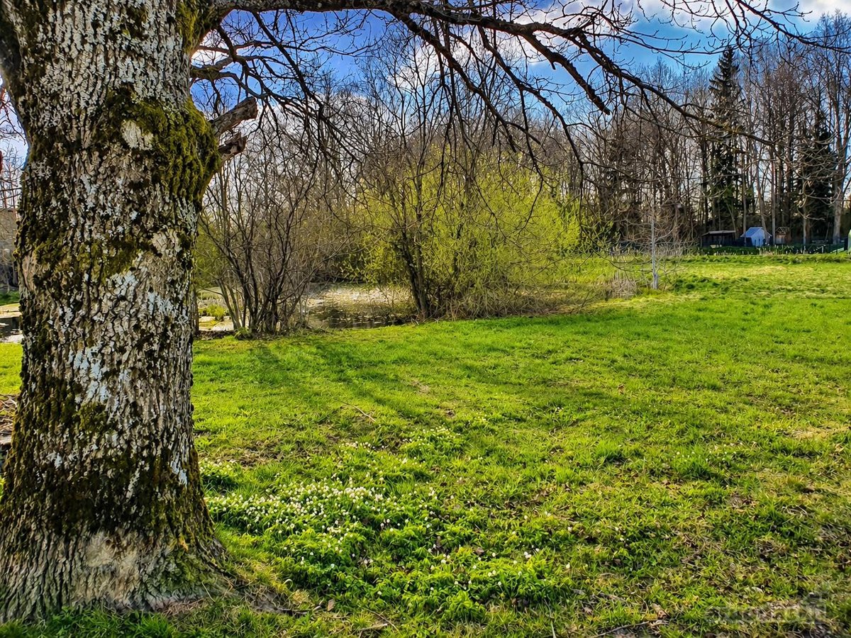 Telšių mieste, parduodamas žemės sklypas su - nuotraukos Nr. 3