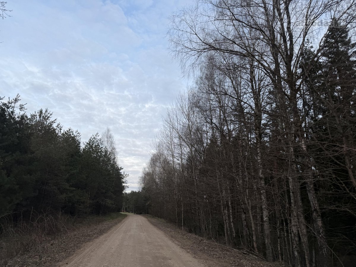 Parduodama sodyba su 30 arų sklypu, name - nuotraukos Nr. 12