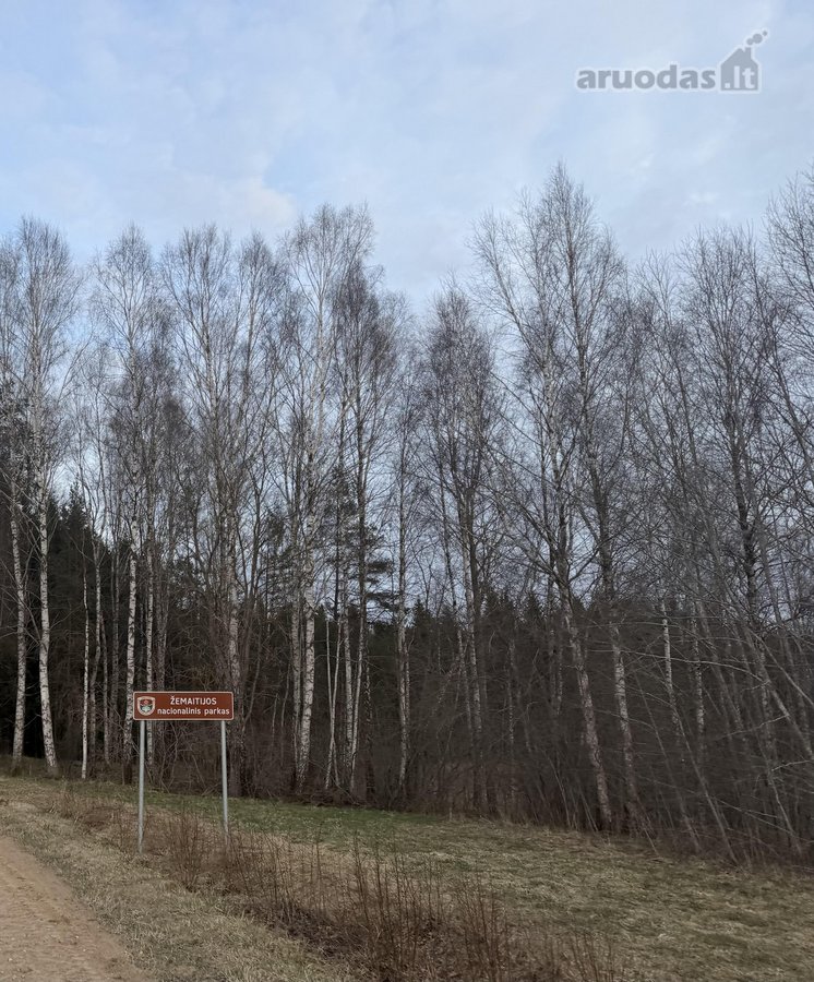 Parduodama sodyba su 30 arų sklypu, name - nuotraukos Nr. 13