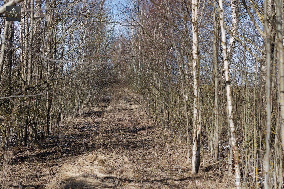 Parduodamas Patogaus Išplanavimo Namas Su 78 - nuotraukos Nr. 33