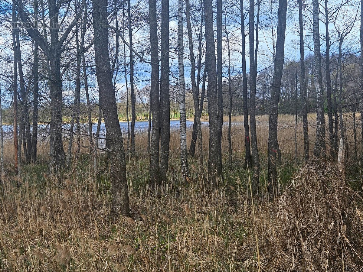 Ieškote vietos verslui ar svajonių namams - nuotraukos Nr. 6