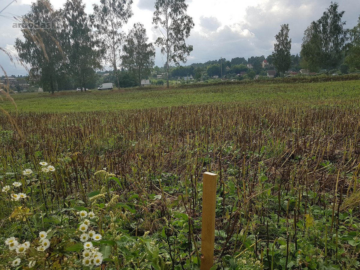 Parduodamas 17 arų žemės sklypas Justinavoje - nuotraukos Nr. 2