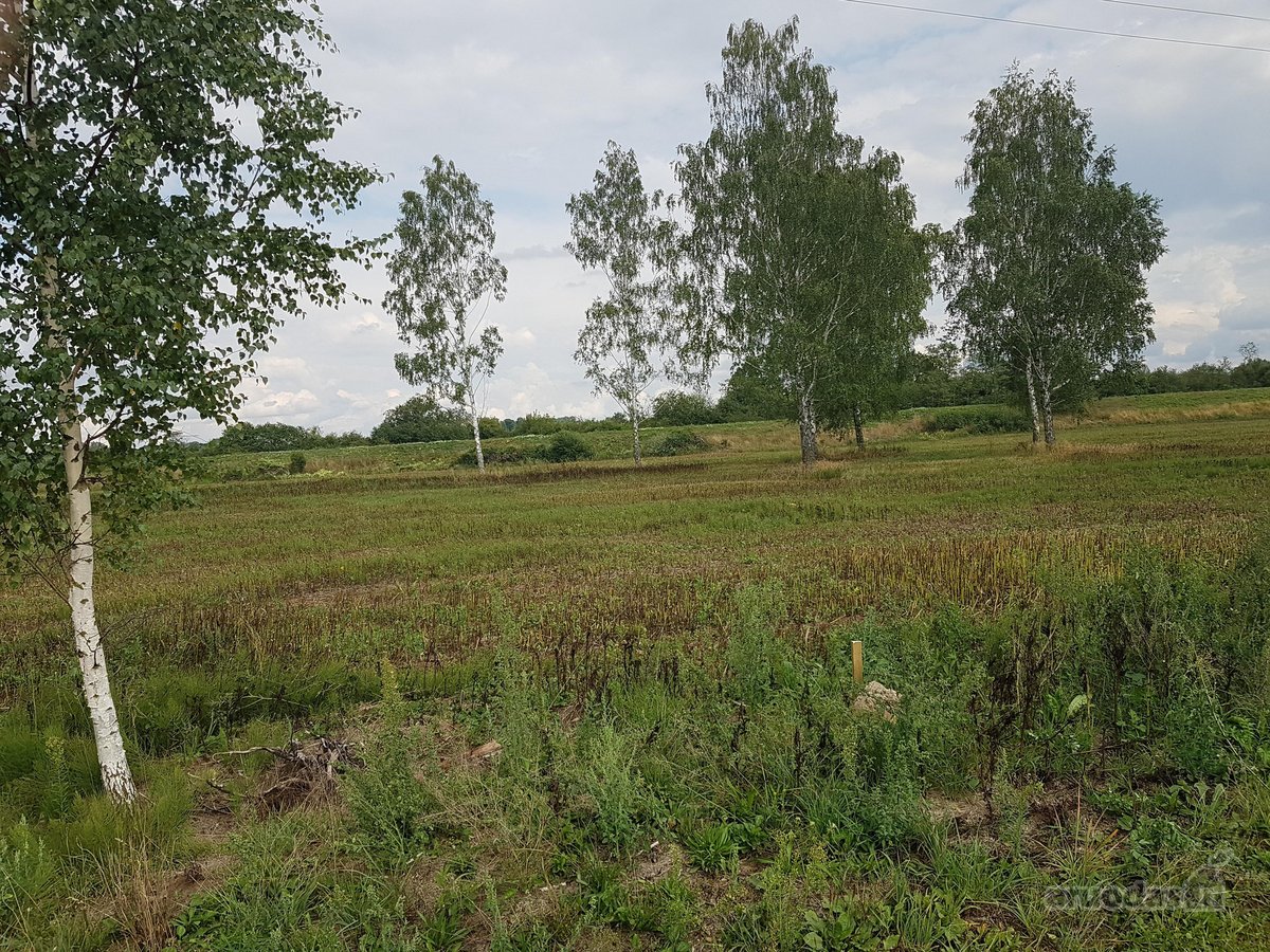 Parduodamas 17 arų žemės sklypas Justinavoje - nuotraukos Nr. 3