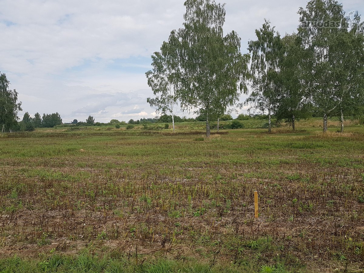 Parduodamas 17 arų žemės sklypas Justinavoje