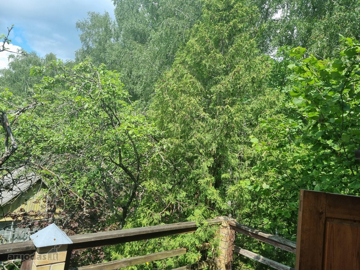 Ieškote vietos, kur rytais girdėtumėte tik - nuotraukos Nr. 19