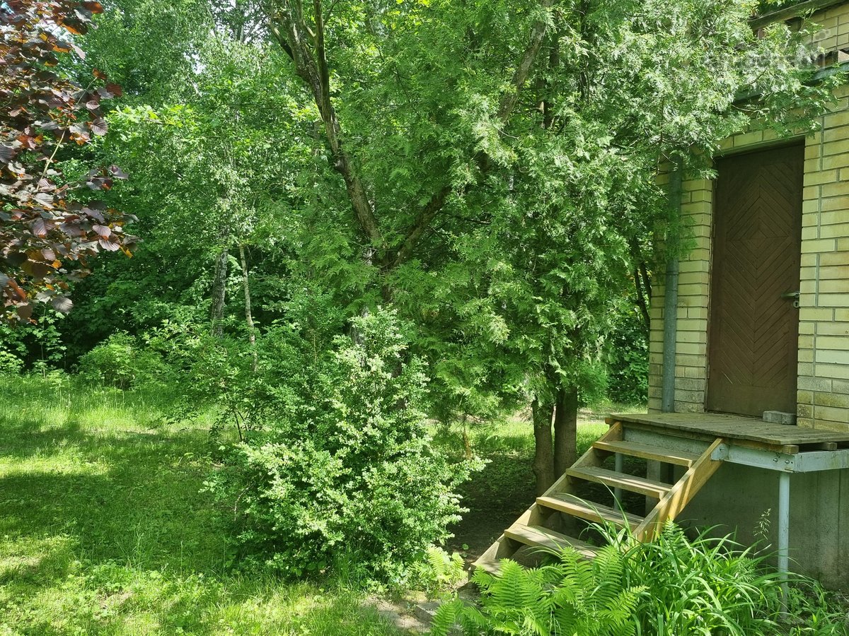 Ieškote vietos, kur rytais girdėtumėte tik - nuotraukos Nr. 25
