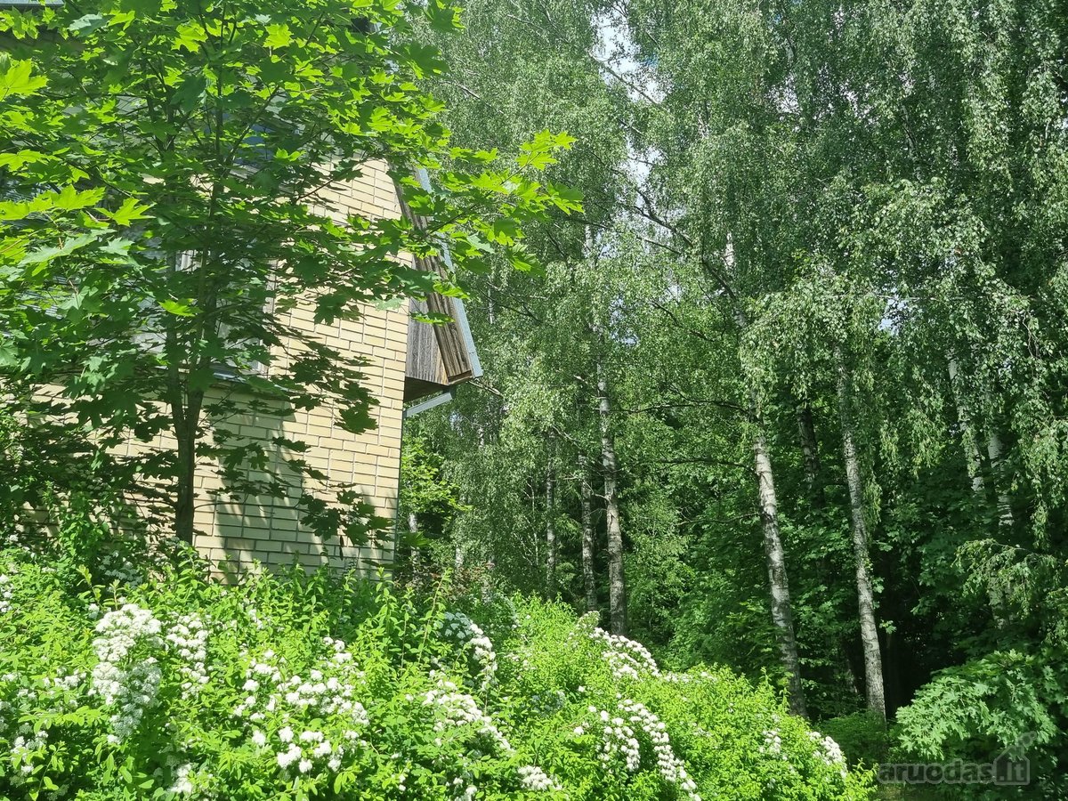 Ieškote vietos, kur rytais girdėtumėte tik - nuotraukos Nr. 29
