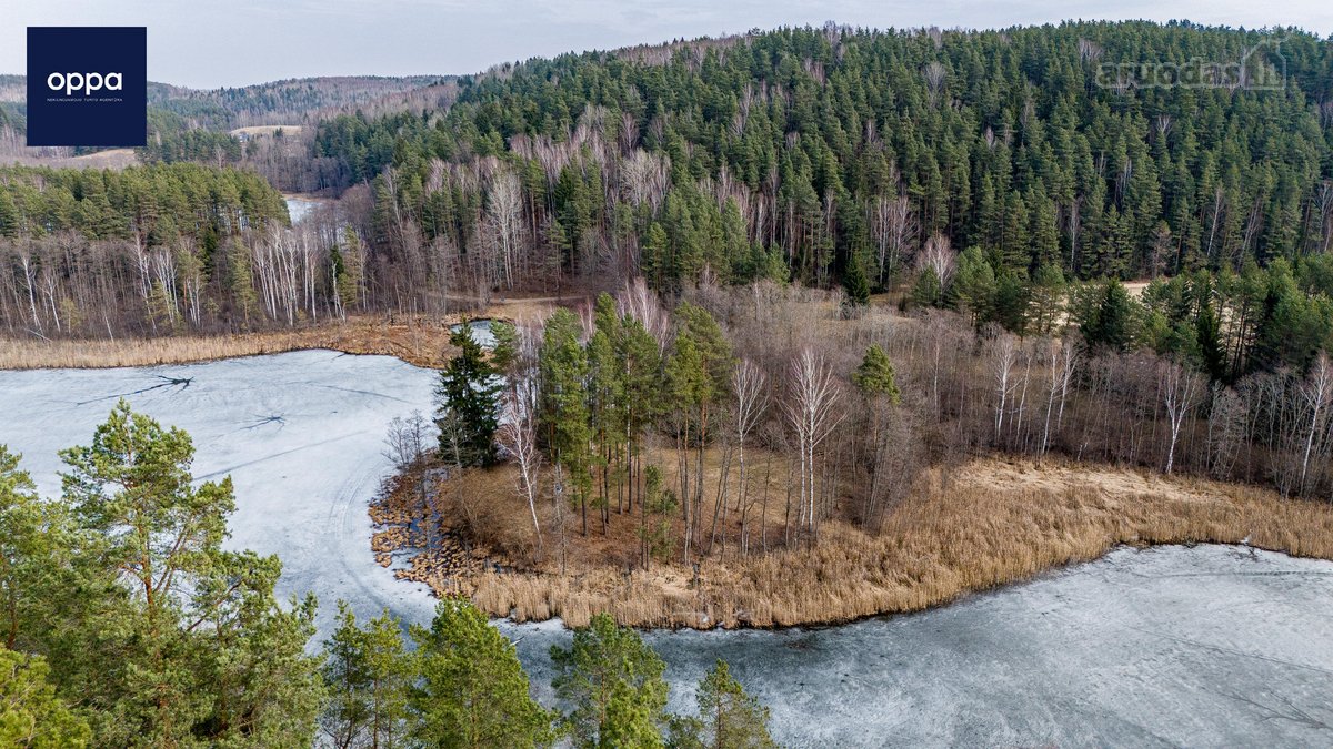 Parduodami 3 sklypai Bėčionių kaime, - nuotraukos Nr. 11