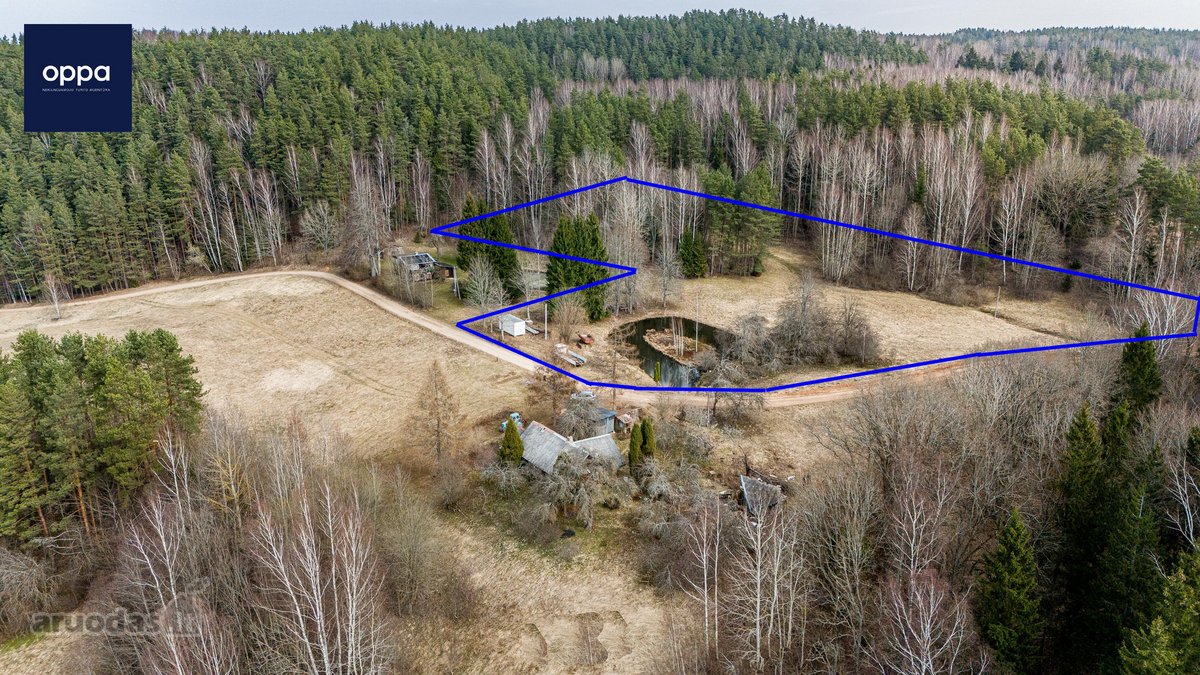 Parduodami 3 sklypai Bėčionių kaime, - nuotraukos Nr. 16
