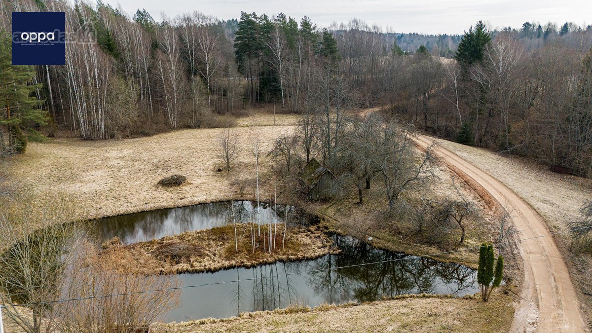Parduodami 3 sklypai Bėčionių kaime, - nuotraukos Nr. 17