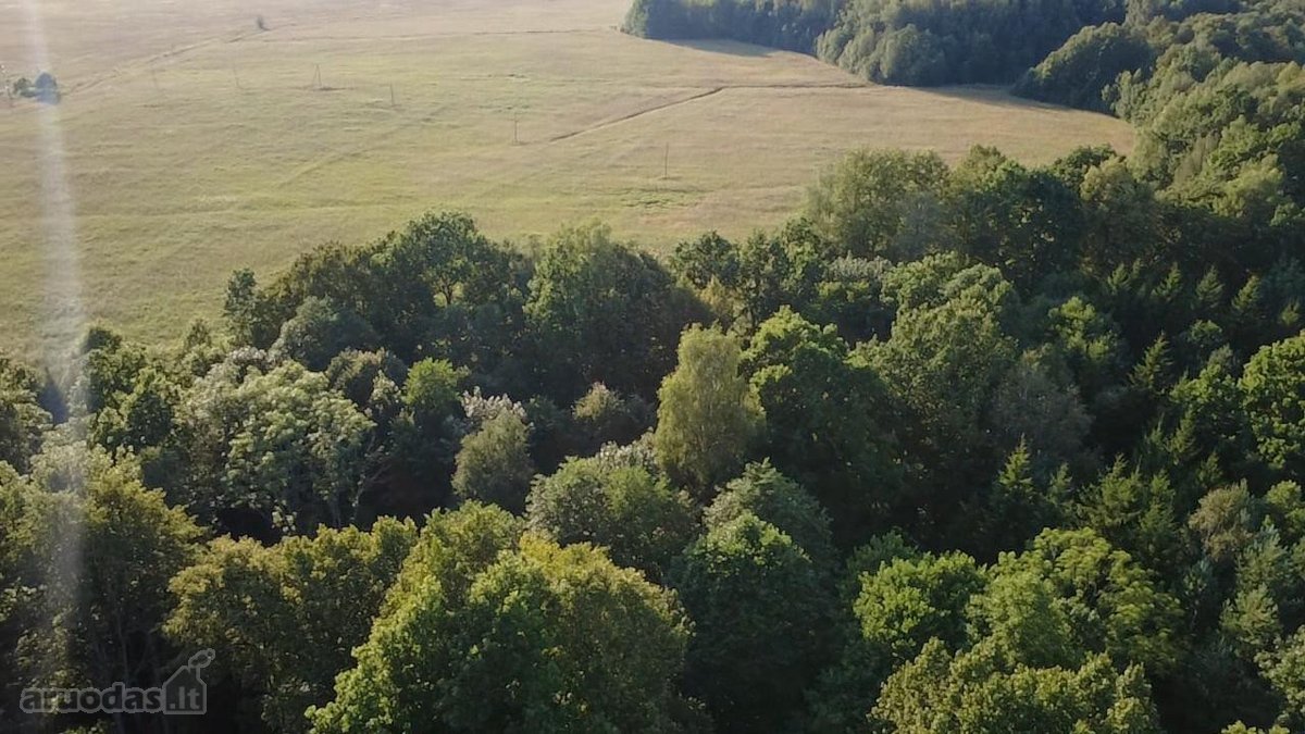 Parduodamas 1.32 ha sklypas, sudarytas iš: - nuotraukos Nr. 6