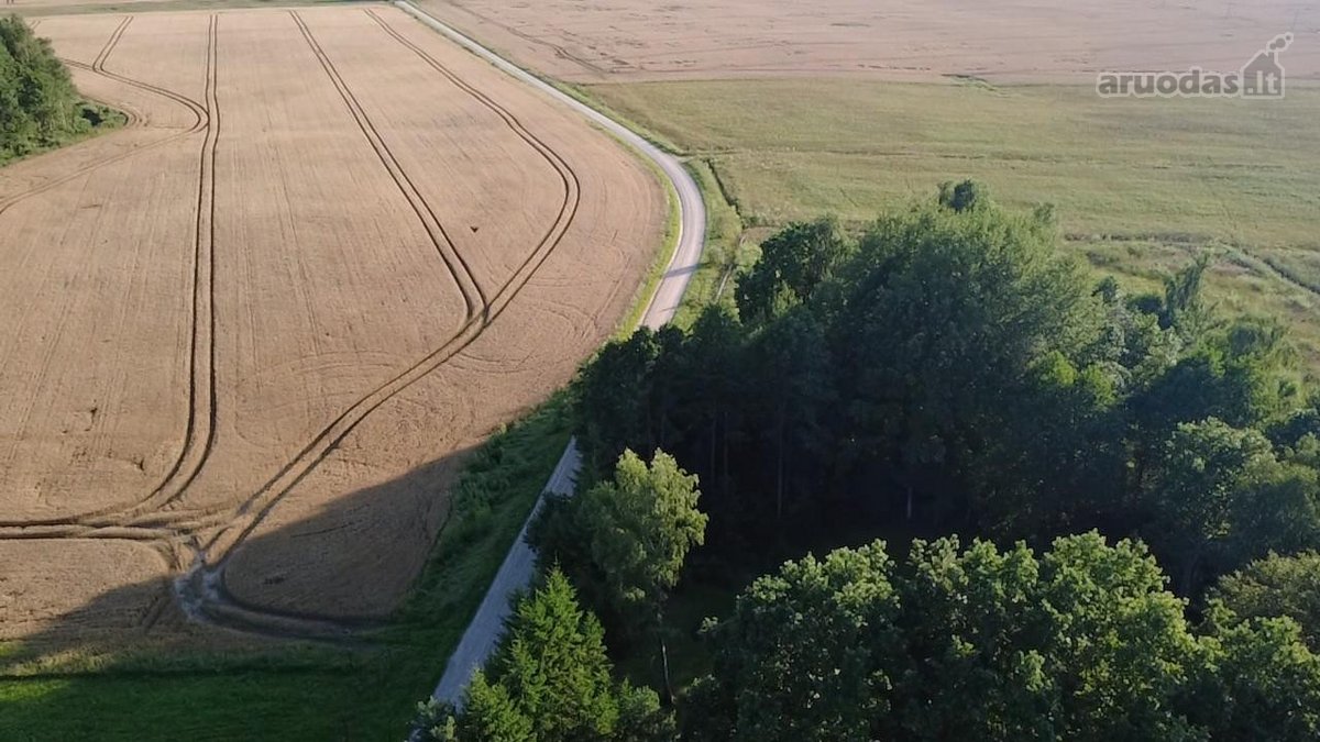 Parduodamas 1.32 ha sklypas, sudarytas iš: - nuotraukos Nr. 5