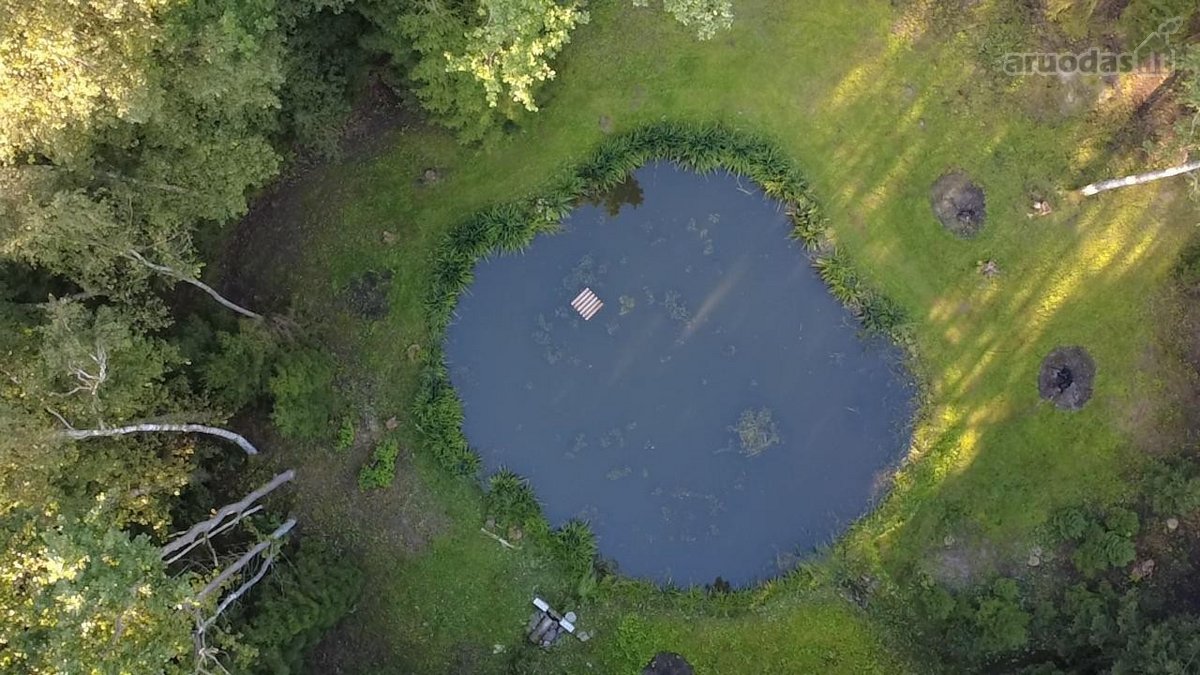Parduodamas 1.32 ha sklypas, sudarytas iš: - nuotraukos Nr. 10