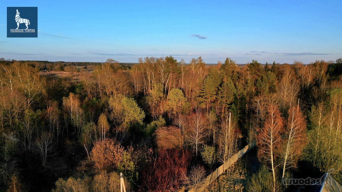 Parduodamas 18,7 arų sklypas ramioje, žalumos - nuotraukos Nr. 8