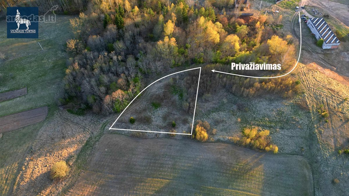 Parduodamas 18,7 arų sklypas ramioje, žalumos - nuotraukos Nr. 3