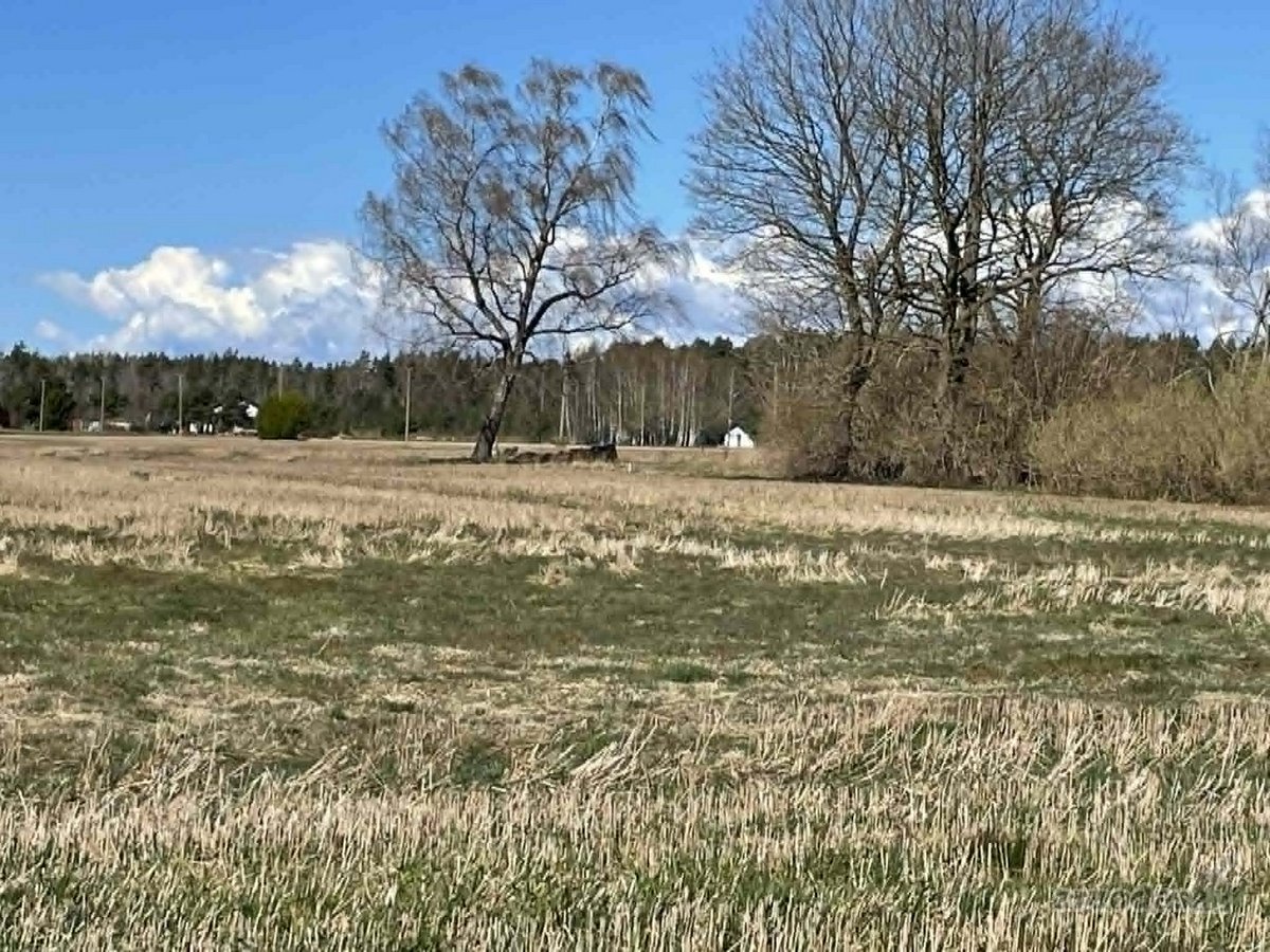 Parduodamas patrauklaus sklypas netoli - nuotraukos Nr. 2