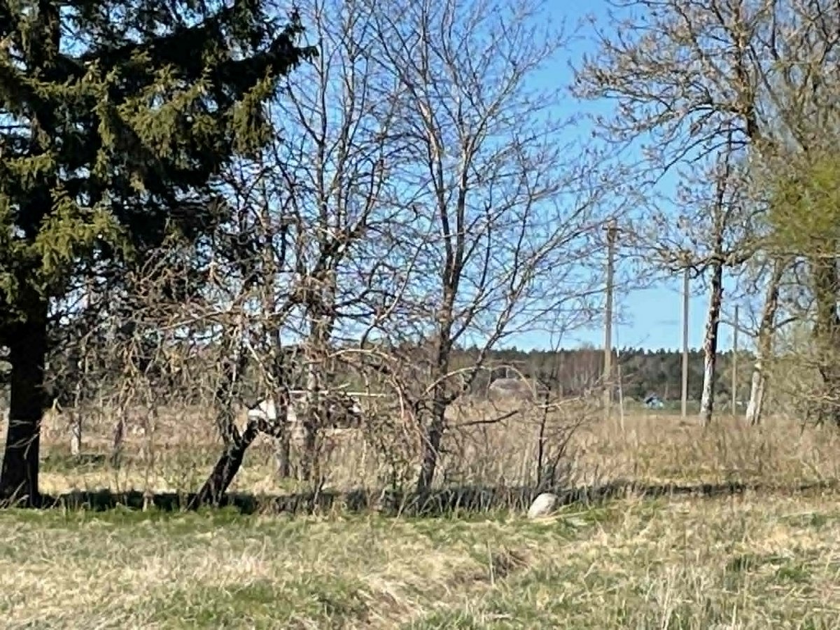 Parduodamas patrauklaus sklypas netoli - nuotraukos Nr. 24